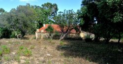 5600 M2 Land and 167 M2 Farmhouse for Sale in Aglientu, 6 Km from the Sea, Northern Sardinia