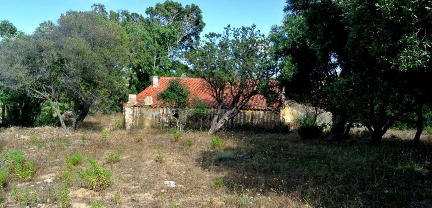 5600 M2 Land and 167 M2 Farmhouse for Sale in Aglientu, 6 Km from the Sea, Northern Sardinia