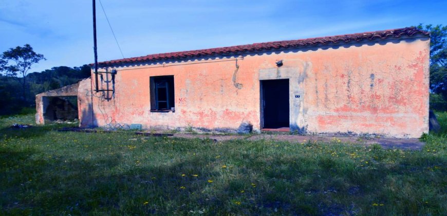 5600 M2 Land and 167 M2 Farmhouse for Sale in Aglientu, 6 Km from the Sea, Northern Sardinia