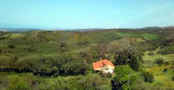 5600 M2 Land and 167 M2 Farmhouse for Sale in Aglientu, 6 Km from the Sea, Northern Sardinia