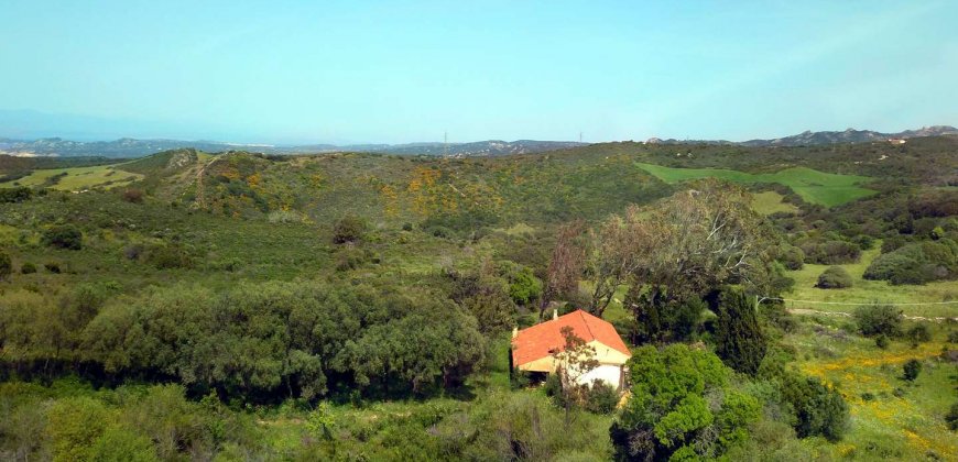 5600 M2 Land and 167 M2 Farmhouse for Sale in Aglientu, 6 Km from the Sea, Northern Sardinia