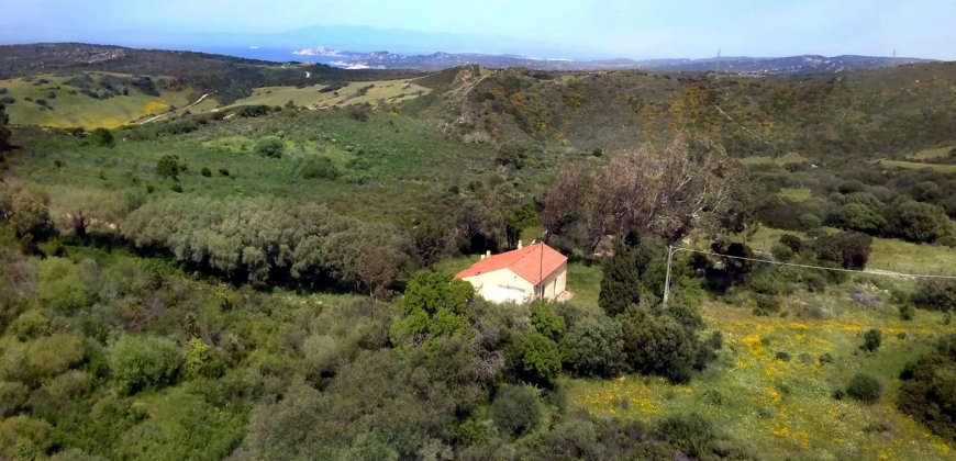 5600 M2 Land and 167 M2 Farmhouse for Sale in Aglientu, 6 Km from the Sea, Northern Sardinia