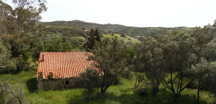 5600 M2 Land and 167 M2 Farmhouse for Sale in Aglientu, 6 Km from the Sea, Northern Sardinia