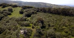 5600 M2 Land and 167 M2 Farmhouse for Sale in Aglientu, 6 Km from the Sea, Northern Sardinia