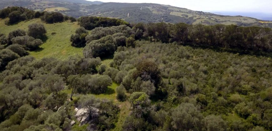 5600 M2 Land and 167 M2 Farmhouse for Sale in Aglientu, 6 Km from the Sea, Northern Sardinia