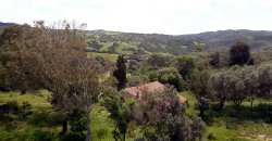 5600 M2 Land and 167 M2 Farmhouse for Sale in Aglientu, 6 Km from the Sea, Northern Sardinia