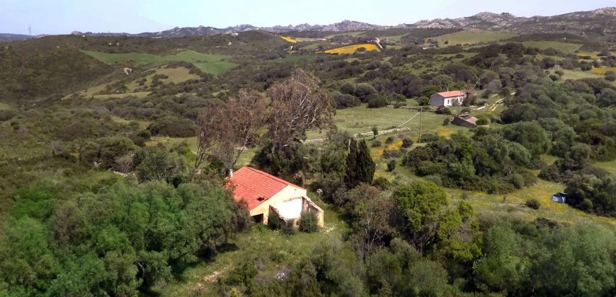 5600 M2 Land and 167 M2 Farmhouse for Sale in Aglientu, 6 Km from the Sea, Northern Sardinia