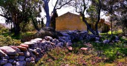 5600 M2 Land and 167 M2 Farmhouse for Sale in Aglientu, 6 Km from the Sea, Northern Sardinia