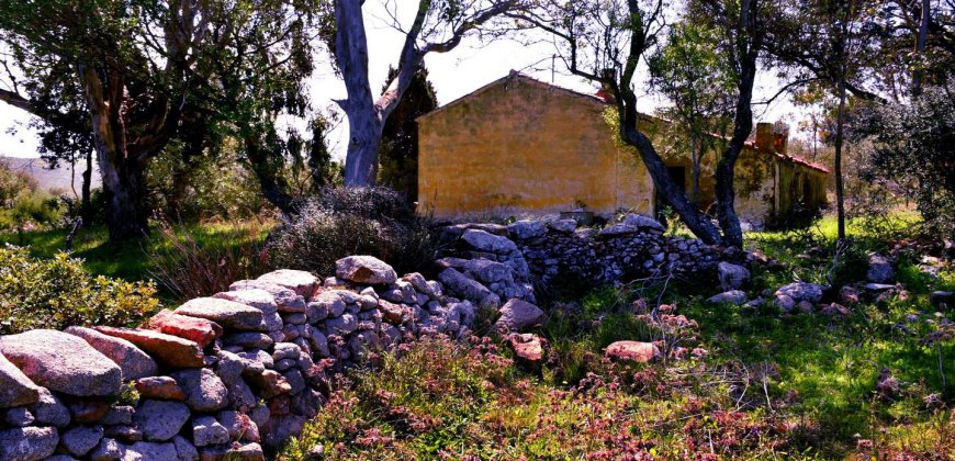 5600 M2 Land and 167 M2 Farmhouse for Sale in Aglientu, 6 Km from the Sea, Northern Sardinia