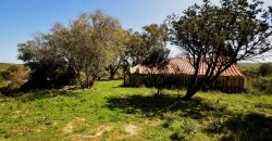 5600 M2 Land and 167 M2 Farmhouse for Sale in Aglientu, 6 Km from the Sea, Northern Sardinia