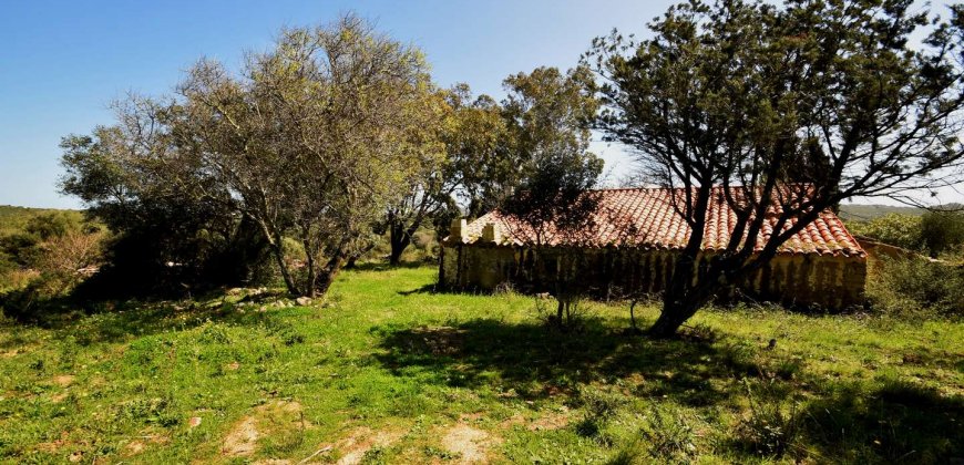 5600 M2 Land and 167 M2 Farmhouse for Sale in Aglientu, 6 Km from the Sea, Northern Sardinia