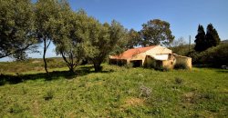 5600 M2 Land and 167 M2 Farmhouse for Sale in Aglientu, 6 Km from the Sea, Northern Sardinia