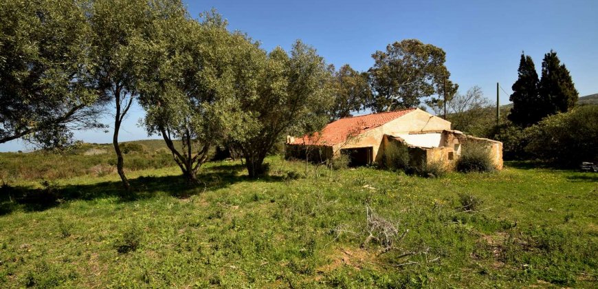 5600 M2 Land and 167 M2 Farmhouse for Sale in Aglientu, 6 Km from the Sea, Northern Sardinia