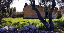 5600 M2 Land and 167 M2 Farmhouse for Sale in Aglientu, 6 Km from the Sea, Northern Sardinia