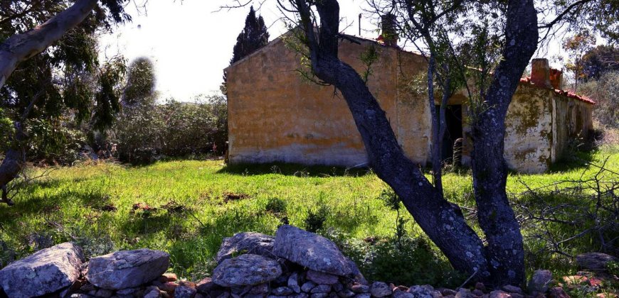 5600 M2 Land and 167 M2 Farmhouse for Sale in Aglientu, 6 Km from the Sea, Northern Sardinia