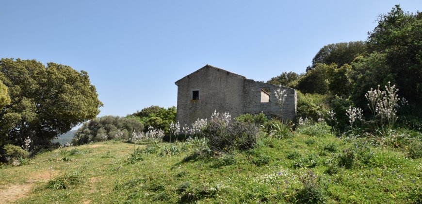 Fabolous 2,3 Ha Land and 350 M2 Farmhouse for Sale in Luogosanto 20 Km from the Beach, North East Sardinia