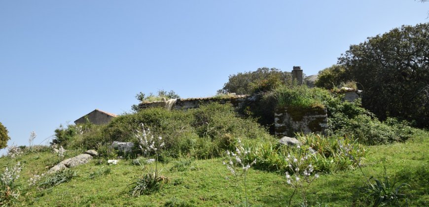 Fabolous 2,3 Ha Land and 350 M2 Farmhouse for Sale in Luogosanto 20 Km from the Beach, North East Sardinia