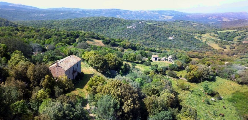 Fabolous 2,3 Ha Land and 350 M2 Farmhouse for Sale in Luogosanto 20 Km from the Beach, North East Sardinia