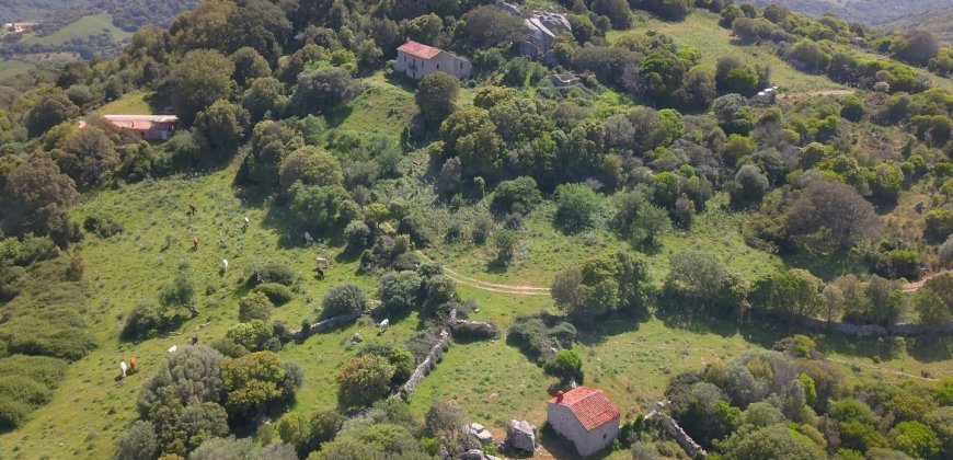 Fabolous 2,3 Ha Land and 350 M2 Farmhouse for Sale in Luogosanto 20 Km from the Beach, North East Sardinia