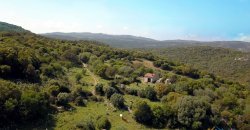 Fabolous 2,3 Ha Land and 350 M2 Farmhouse for Sale in Luogosanto 20 Km from the Beach, North East Sardinia