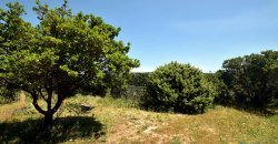 3 Bed Rural Home and 5ha Park for Sale in San Pantaleo, North Sardinia