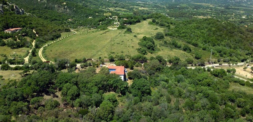 3 Bed Rural Home and 5ha Park for Sale in San Pantaleo, North Sardinia