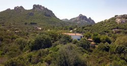 3 Bed Rural Home and 5ha Park for Sale in San Pantaleo, North Sardinia