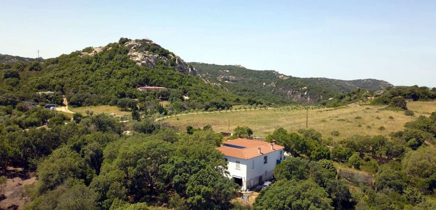 3 Bed Rural Home and 5ha Park for Sale in San Pantaleo, North Sardinia