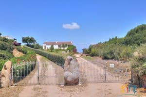 Fabulous Sardinia Villas For Sale Near Palau Cannigione Ref Lignamu