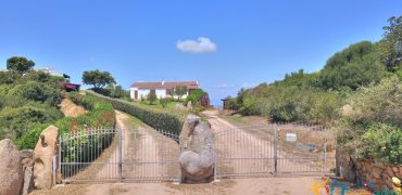 Fabulous Sardinia Villas For Sale Near Palau Cannigione Ref Lignamu