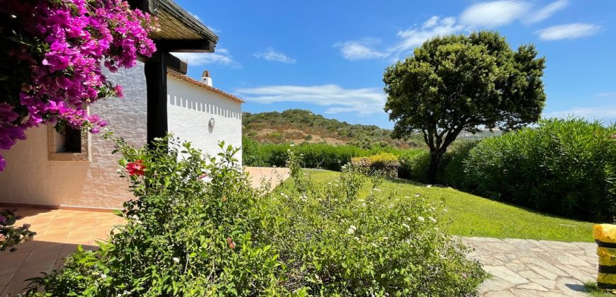 Fabulous Sardinia Villas For Sale Near Palau Cannigione Ref Lignamu