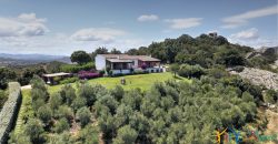 Fabulous Sardinia Villas For Sale Near Palau Cannigione Ref Lignamu