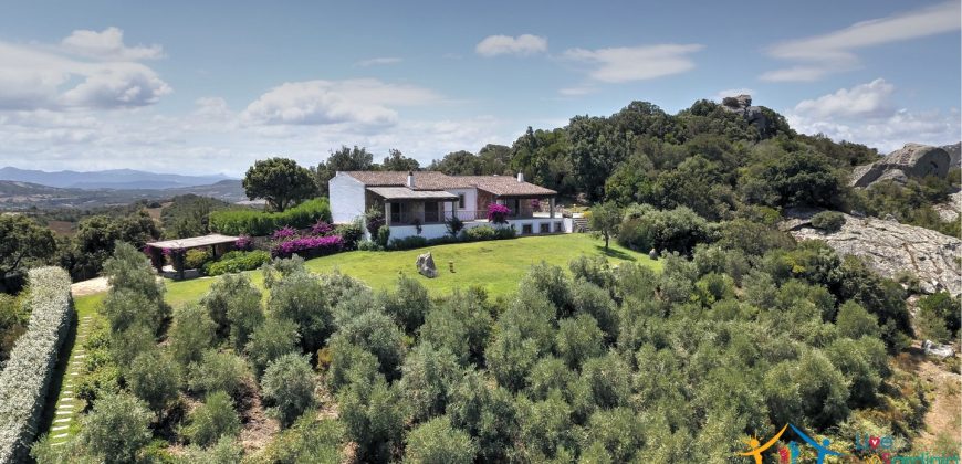 Fabulous Sardinia Villas For Sale Near Palau Cannigione Ref Lignamu
