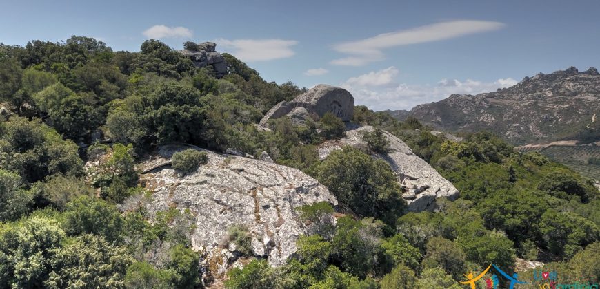 Fabulous Sardinia Villas For Sale Near Palau Cannigione Ref Lignamu
