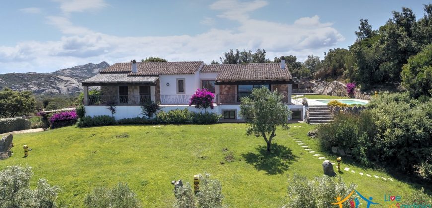 Fabulous Sardinia Villas For Sale Near Palau Cannigione Ref Lignamu