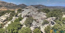 Fabulous Sardinia Villas For Sale Near Palau Cannigione Ref Lignamu