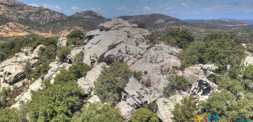 Fabulous Sardinia Villas For Sale Near Palau Cannigione Ref Lignamu