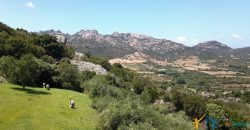 Fabulous Sardinia Villas For Sale Near Palau Cannigione Ref Lignamu