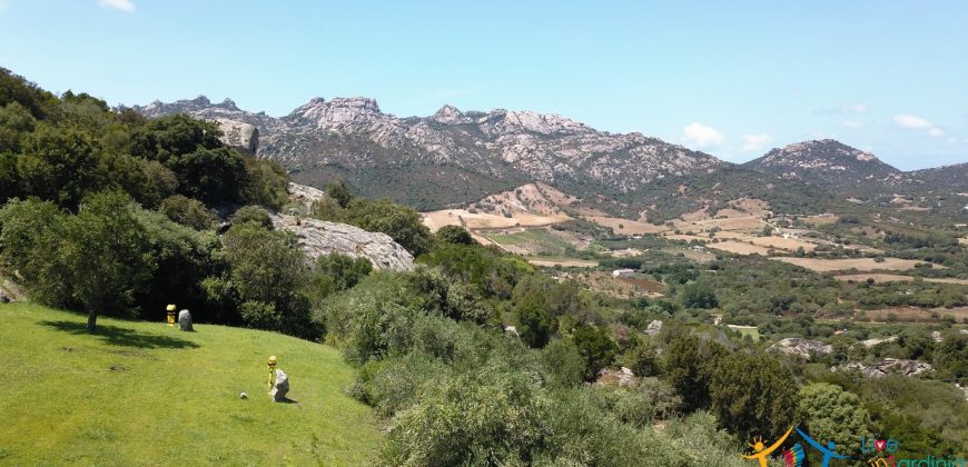 Fabulous Sardinia Villas For Sale Near Palau Cannigione Ref Lignamu