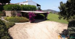 Fabulous Sardinia Villas For Sale Near Palau Cannigione Ref Lignamu