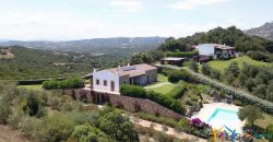 Fabulous Sardinia Villas For Sale Near Palau Cannigione Ref Lignamu