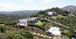 Fabulous Sardinia Villas For Sale Near Palau Cannigione Ref Lignamu