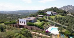 Magnificent Villas With Large Land and Sea Views for Sale Near Palau, Northern Sardinia