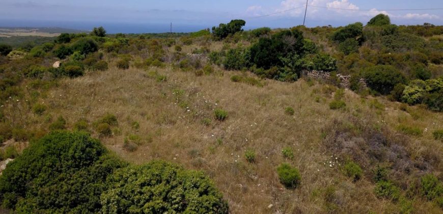 2,7 Ha Buildable Land for Sale Near the Sea in Aglientu, North Sardinia