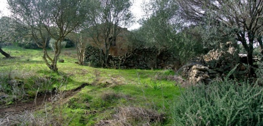 Fabolous 6 Ha Land and 130 M2 Farmhouse for Sale in Arzachena 17 Km from Porto Cervo