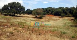 Fabolous 10 Ha Land and 86 M2 Farmhouse for Sale in Luogosanto 23 Km from Arzachena North Sardinia