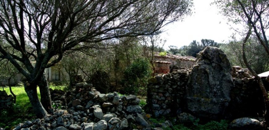 Fabolous 6 Ha Land and 130 M2 Farmhouse for Sale in Arzachena 17 Km from Porto Cervo