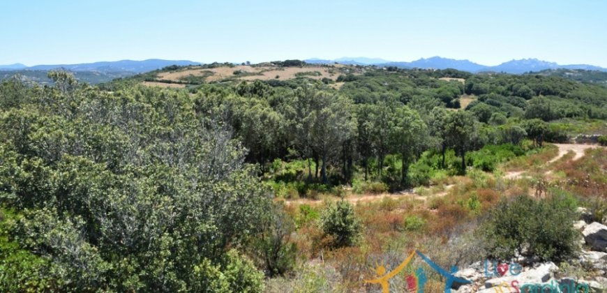 Fantastic 2,7 Ha Land and Unfinished Villa With Sea Views in Aglientu, North East Sardinia