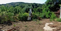 3,6 Ha Land and 280 M2 Farmhouse for Sale in Medieval Luogosanto, 20 Km from the Sea, North  Sardinia