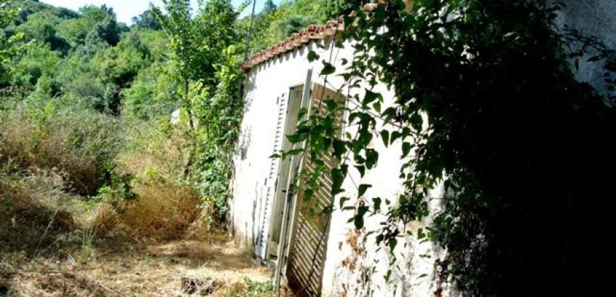 3,6 Ha Land and 280 M2 Farmhouse for Sale in Medieval Luogosanto, 20 Km from the Sea, North  Sardinia